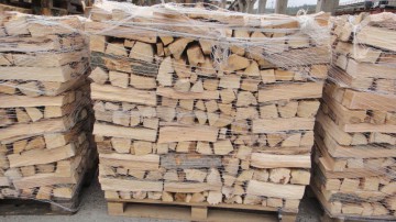 Exportul de masă lemnoasă ar putea fi interzis